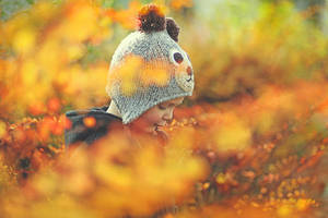 it's autumn, little bear III by AlicjaRodzik