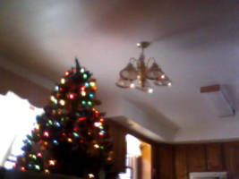 X-mas tree by Narubug