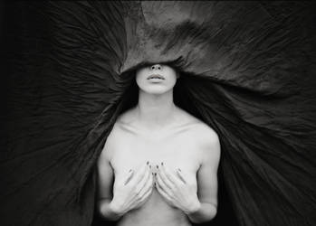 Tripped Flower by CreameCaramele