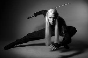 Ninja III. by Johawna