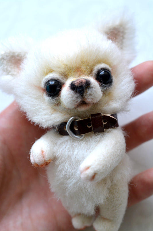 Chihuahua Teddy bear. Adopted by SulizStudio