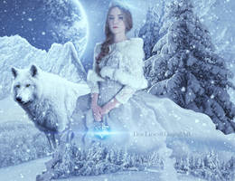 Winter Princess by doclicio