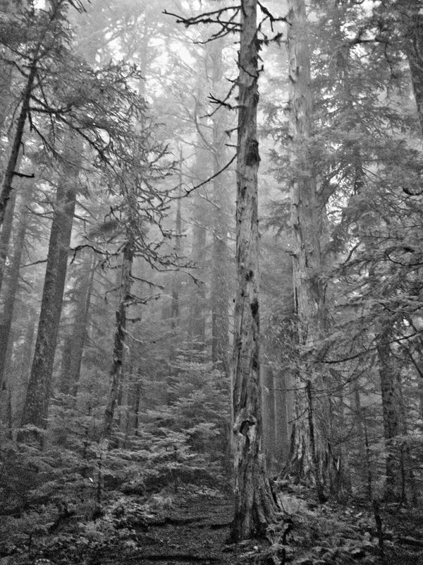IR on Mount Washington by avotius