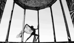 elements by cenevols