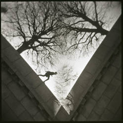 Pages of dreams III by SiVkiN