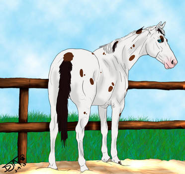 Loki vet visit by Forgotten-Kingdom