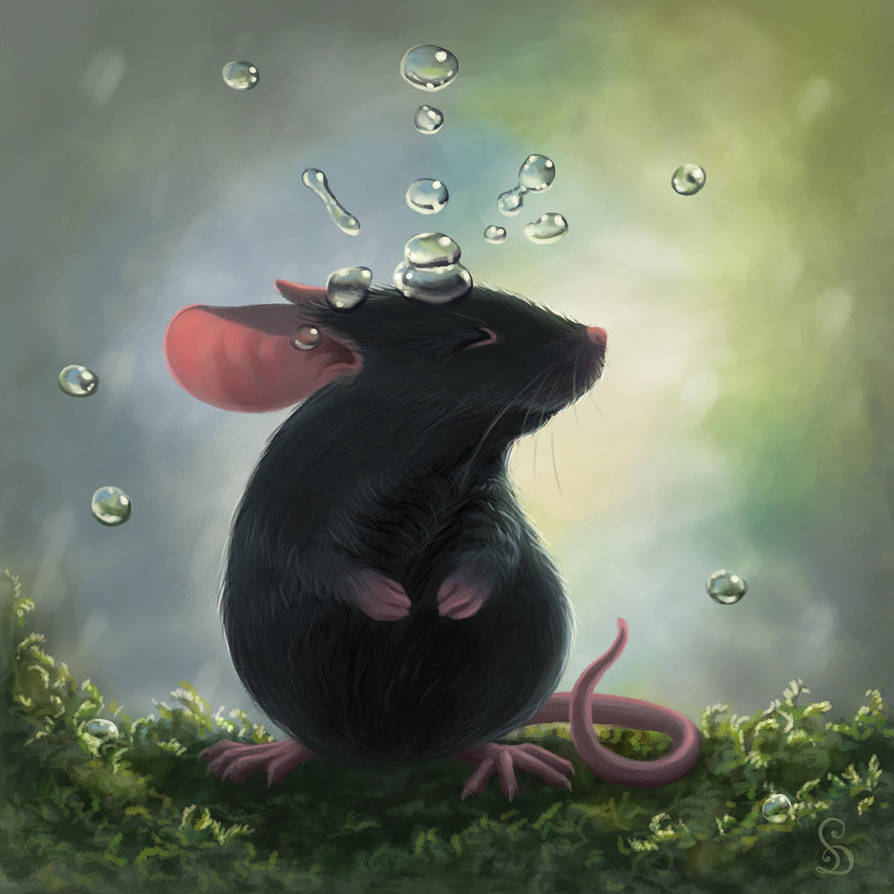 Rain Mouse by StefanieDworschak Rain Mouse by StefanieDworschak