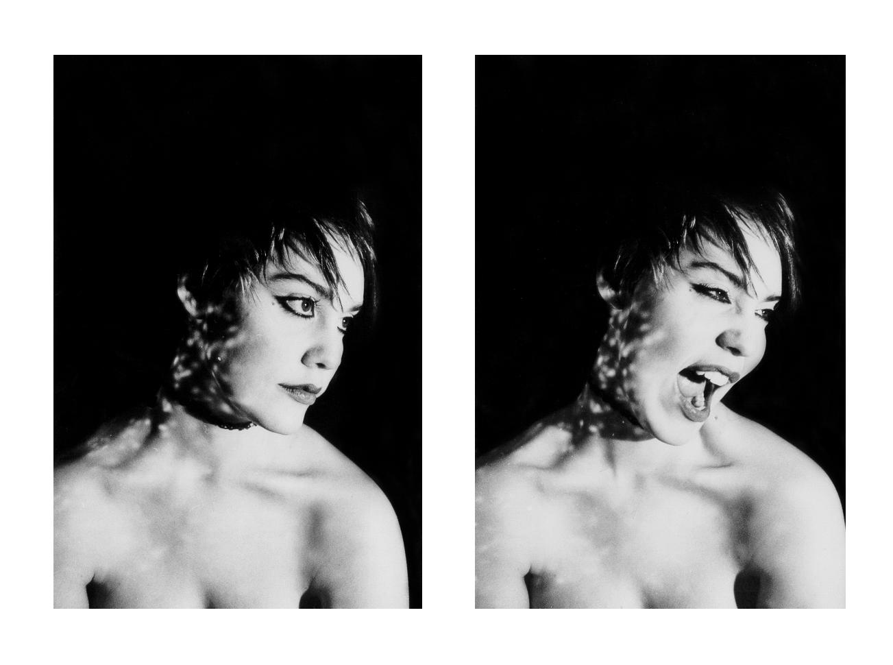 Viljis by Bodvill