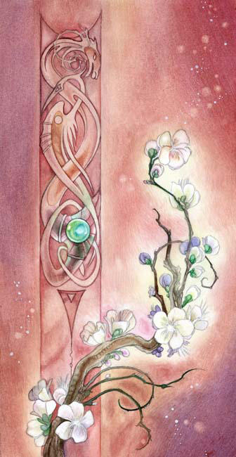 Plum Blossoms - by puimun