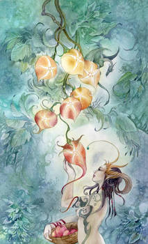 Seven of Pentacles by puimun