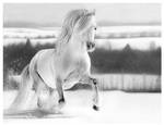 Fun In The Snow by Lianne-Issa