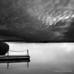 MOvement + Stillness Study 3 by AgenttSmith