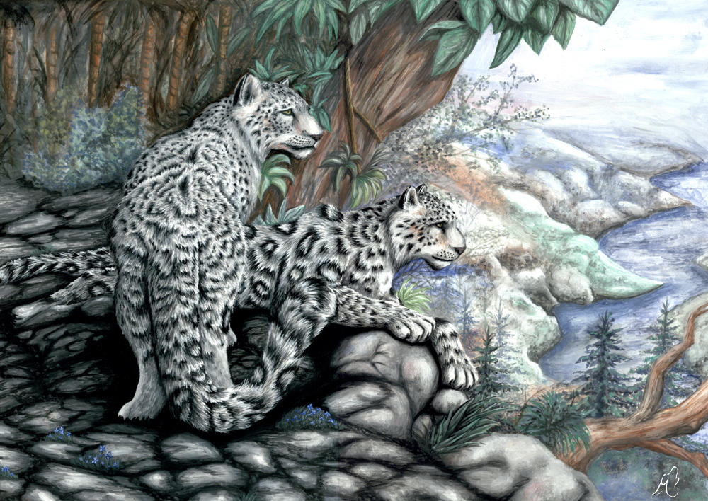 snow leopards by meeko-okeem