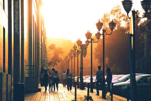 Out and About by ShawMoe