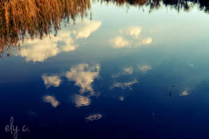 infinity by aPurringCat