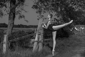 Cape Cod Attitude by HowNowVihao