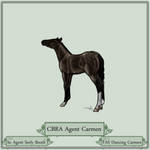CBRA Agent Carmen by ViennaFarms