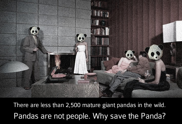 Pandas are not people. by technics
