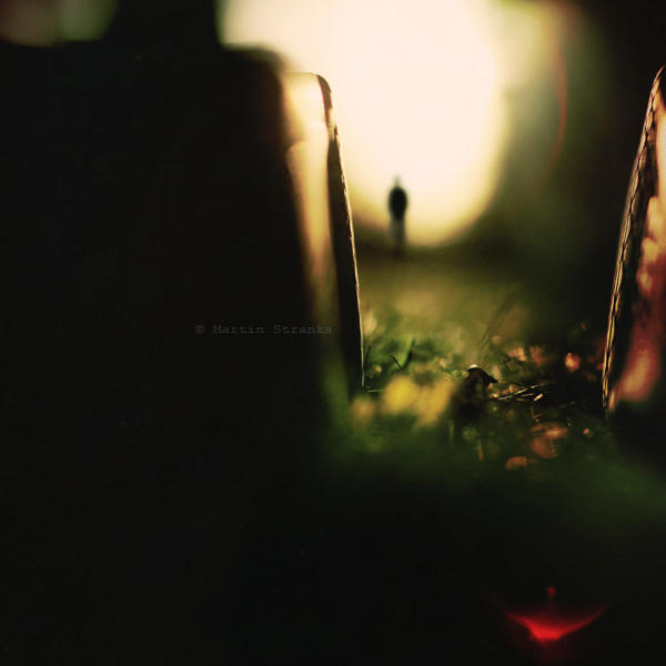 My Fall by MartinStranka