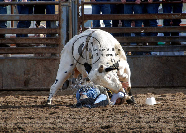 TVCC 08: Down n for the Count by saudimack