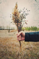 Fall in tenderness by Mannka-Hummingbird