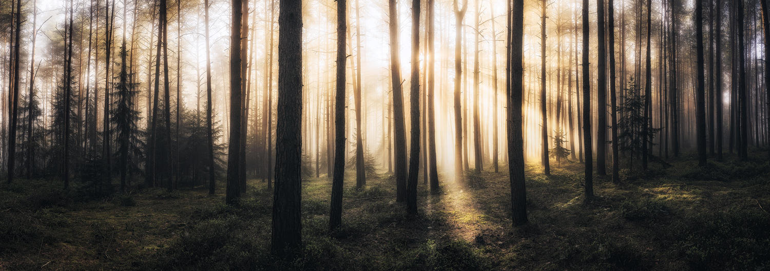light explosion by MartinAmm