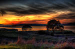 December in California by kory83