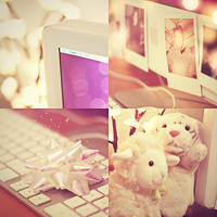 . s w e e t e c h . by photografika