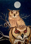 Night watch by ricky4
