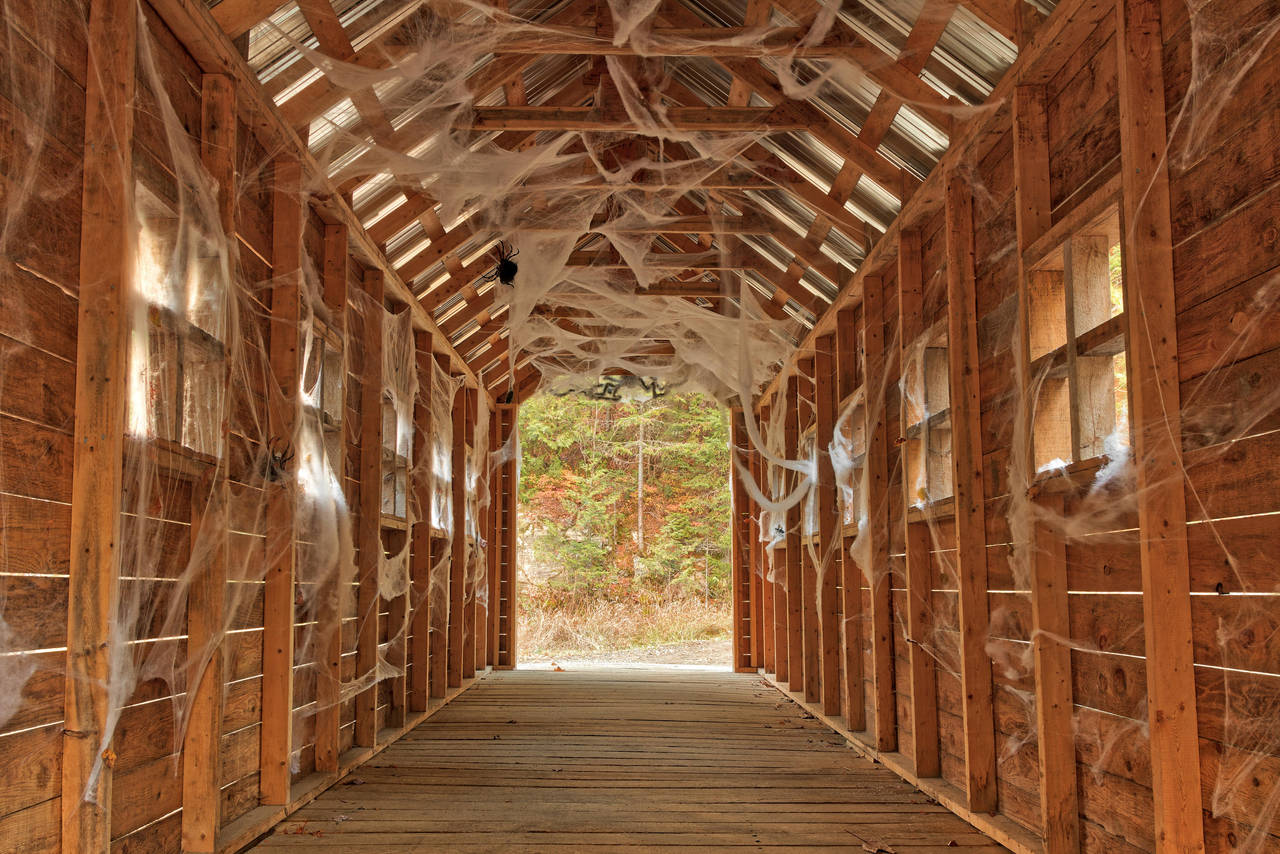 Cobweb Covered Bridge by somadjinn
