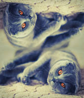 twins by marymarycherry