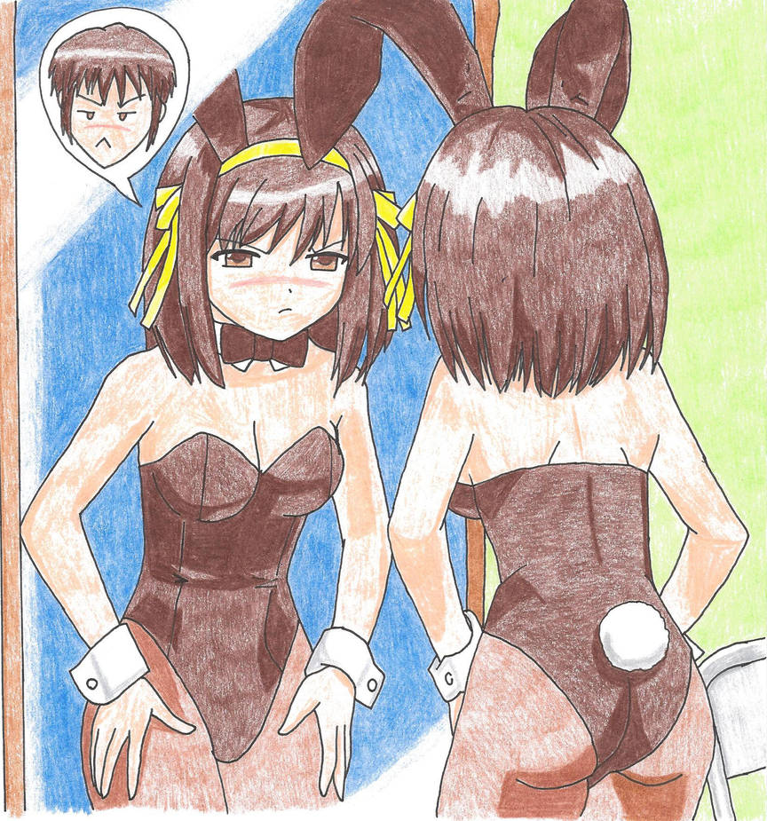 The Swapping of Haruhi Suzumiya by KayTheYatagarasu on DeviantArt