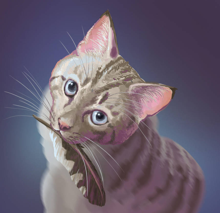 Cat with Feather by Egreonna on DeviantArt