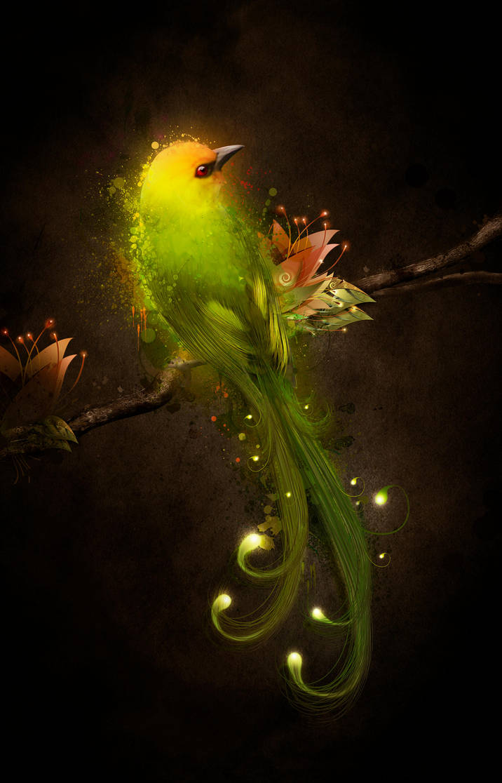 Night Light by Owhl