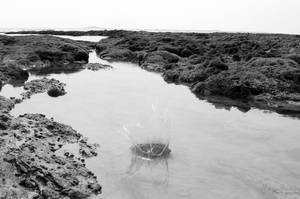 Plouf by MarieMistery