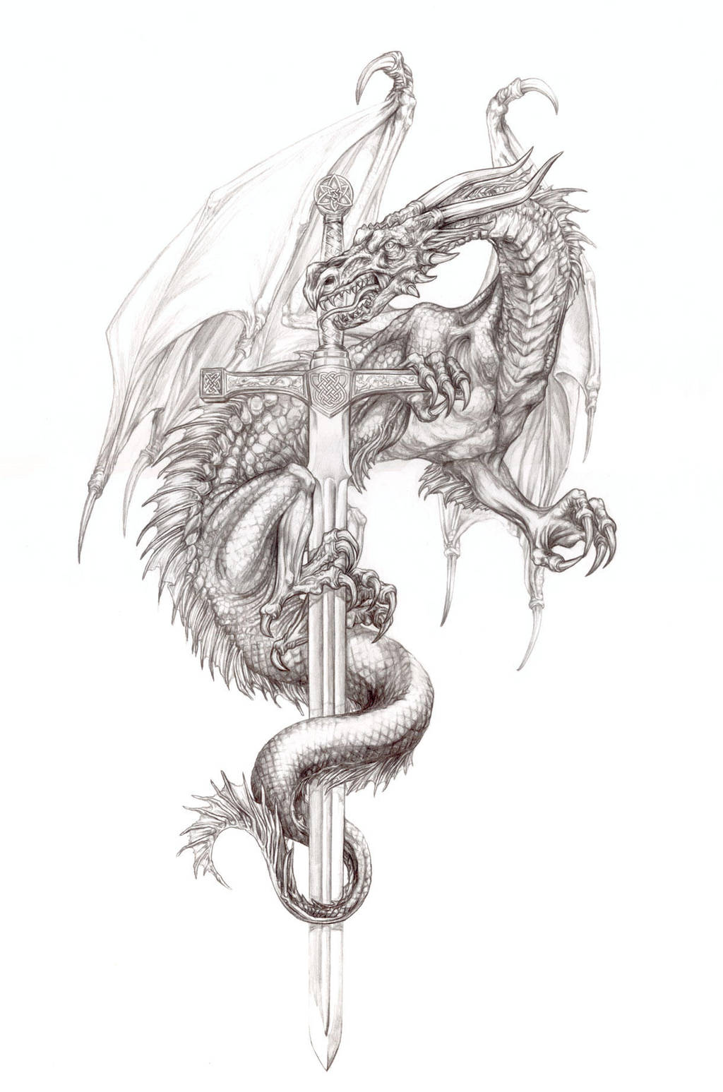 El-dragones by vinkalu