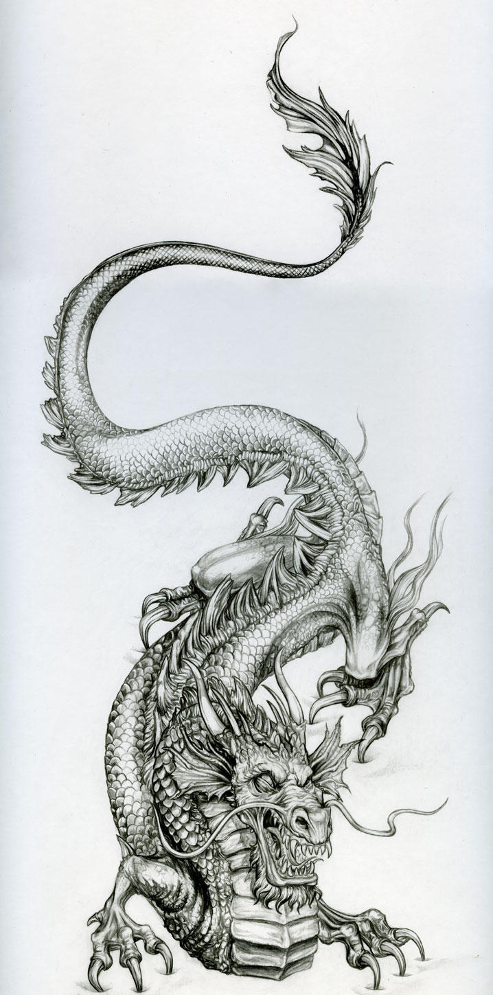 Le-dragon by vinkalu