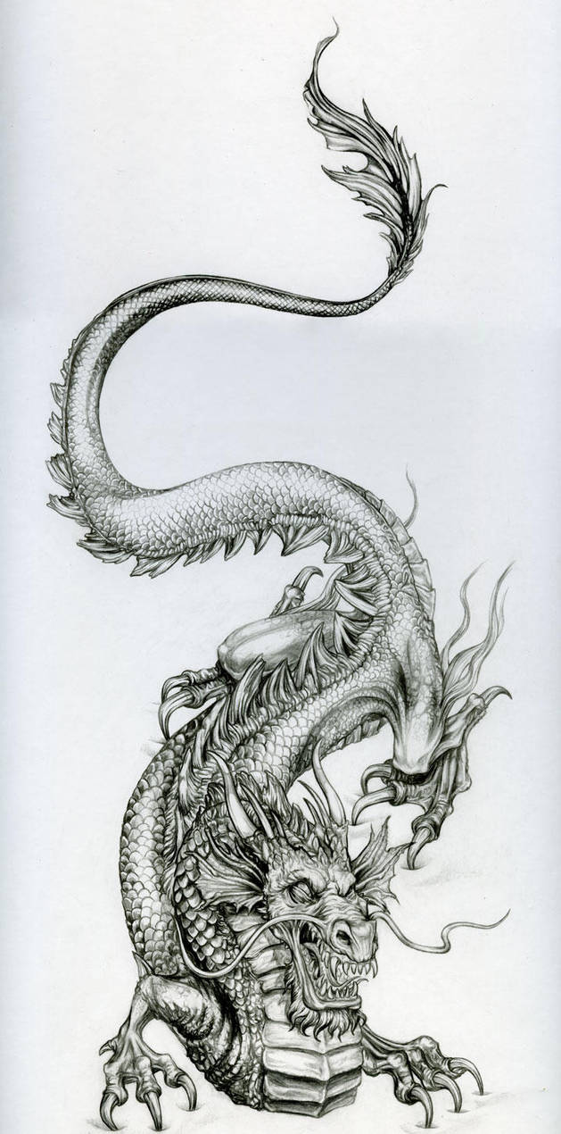 Le-dragon by vinkalu