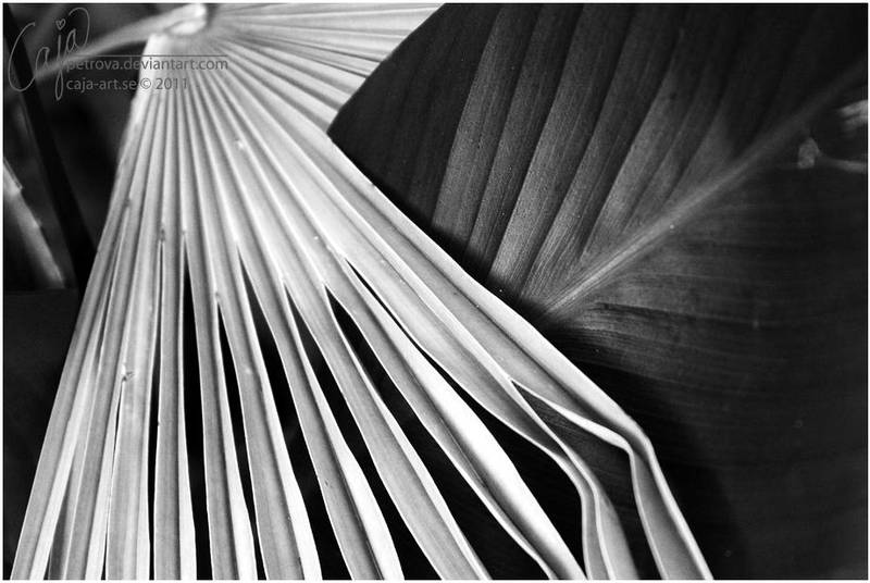 Forms: embrace by petrova