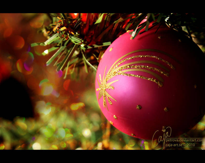 Christmas star by petrova