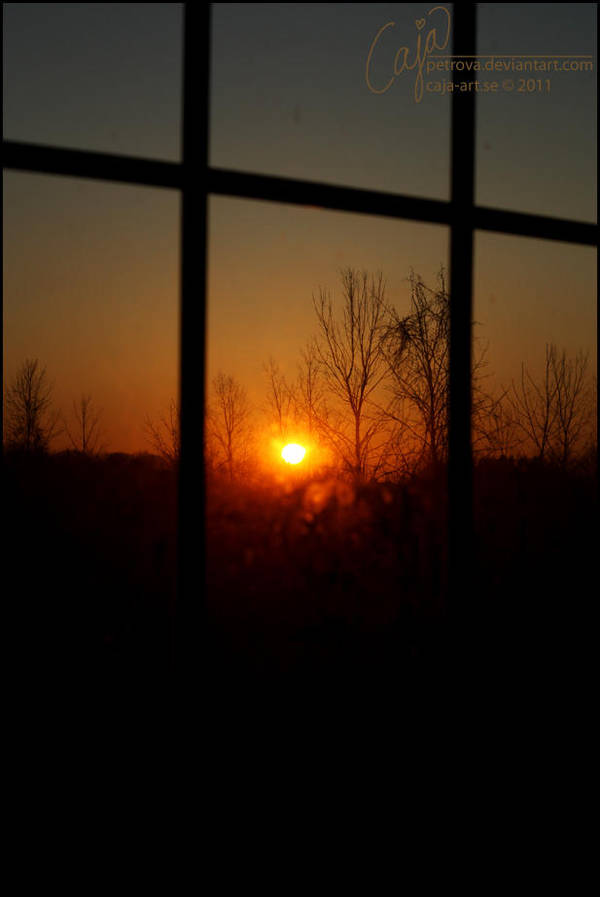 Morning sun by petrova