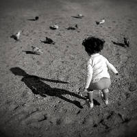 Come fly with me by anjelicek