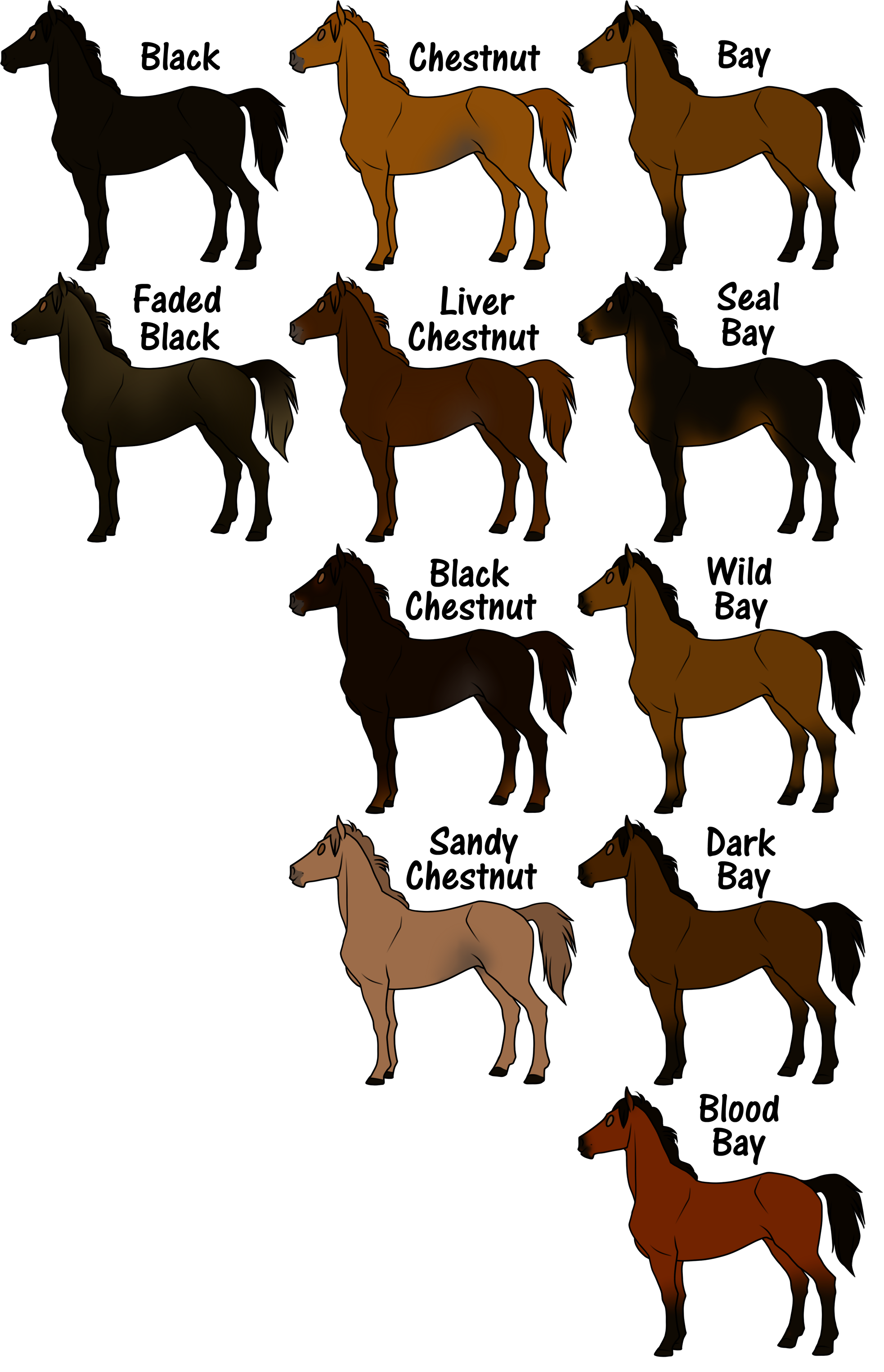 Complete Coat Color Guide by Flamestorm11 on DeviantArt