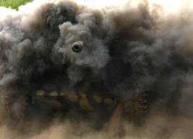 tiger by andrewendrju