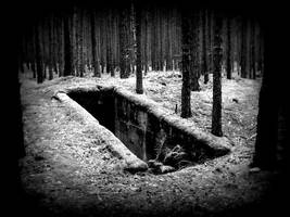 DAG2 by andrewendrju