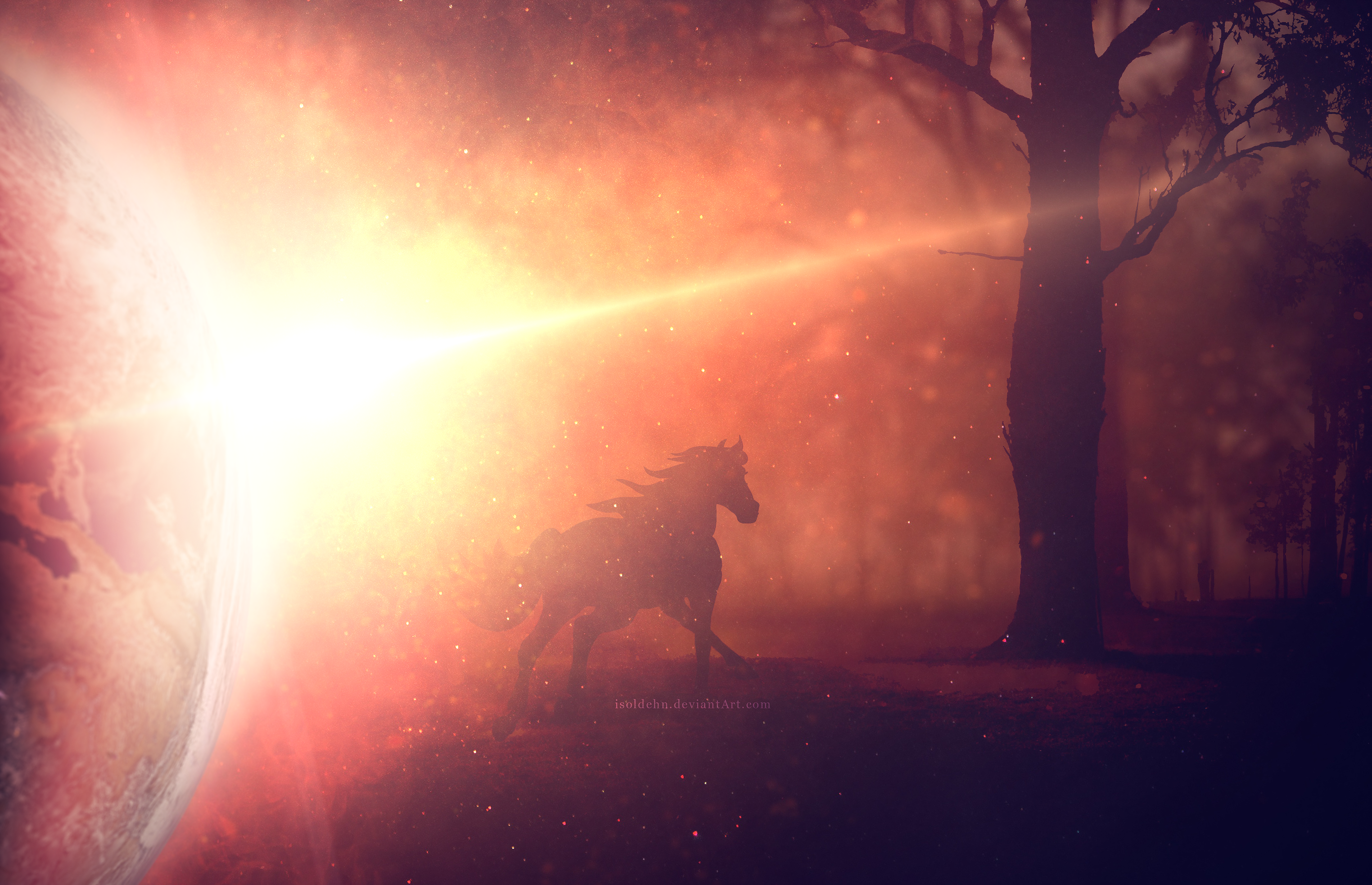 A New World by isoldehn