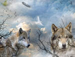 Lobo...Friend of Soft-Step by RenaissanceMan1