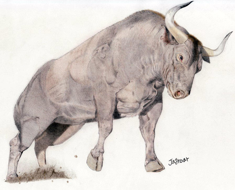 Aurochs by Jagroar on DeviantArt