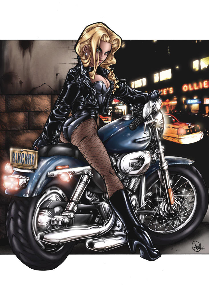 Black Canary by AdamWithers