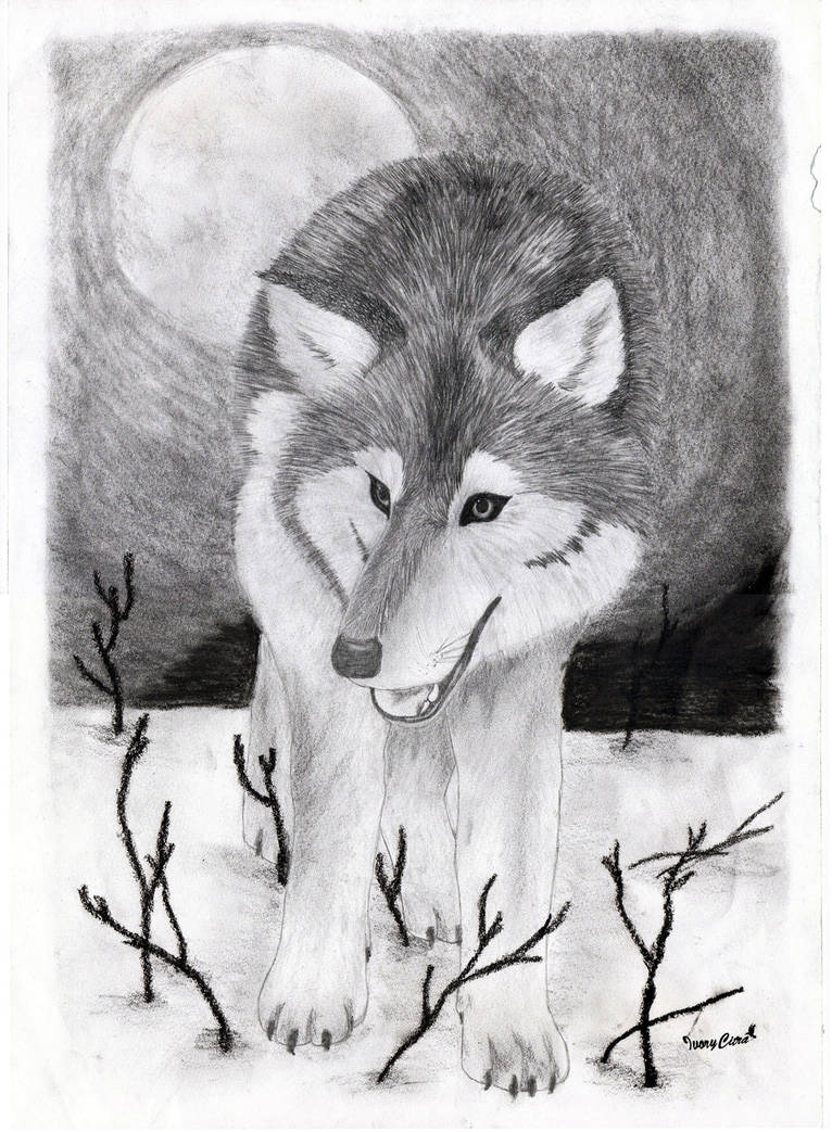 Wolf in the Moonlight by IvyCitra by IvoryCitra on DeviantArt
